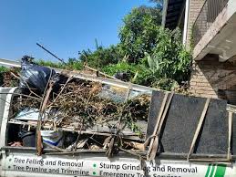 Best Foreclosure Cleanout  in Holiday, FL